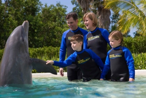 Miami: Seaquarium Entrance Ticket with Dolphin Encounter