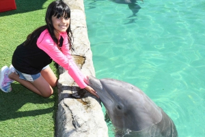 Miami: Seaquarium Entrance Ticket with Dolphin Encounter