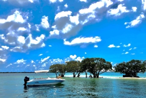 Miami: bootverhuur zonder kapitein