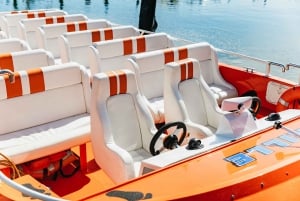 Miami: Sightseeing Speedboat Tour