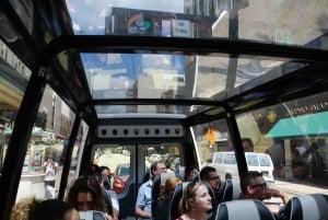 Sightseeingtur i Miami i en konvertibel bus (fransk)