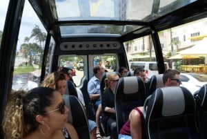 Sightseeingtur i Miami i en kabrioletbuss (fransk)