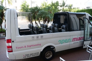 Обзорная экскурсия по Майами на автобусе-кабриолете (на французском)