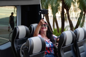 Обзорная экскурсия по Майами на автобусе-кабриолете (на французском)