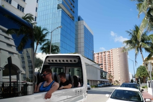 Обзорная экскурсия по Майами на автобусе-кабриолете (на французском)