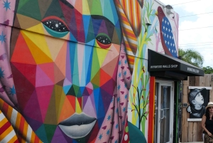 Обзорная экскурсия по Майами на автобусе-кабриолете (на французском)