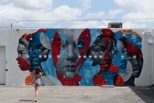 Обзорная экскурсия по Майами на автобусе-кабриолете (на французском)