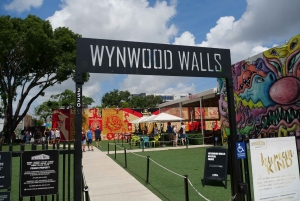 Обзорная экскурсия по Майами на автобусе-кабриолете (на французском)