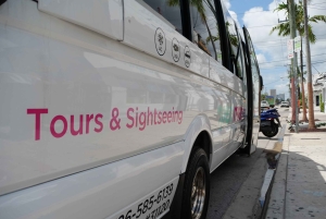 Обзорная экскурсия по Майами на автобусе-кабриолете (на французском)