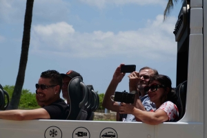 Обзорная экскурсия по Майами на автобусе-кабриолете (на французском)