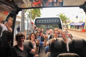 Обзорная экскурсия по Майами на автобусе-кабриолете (на французском)