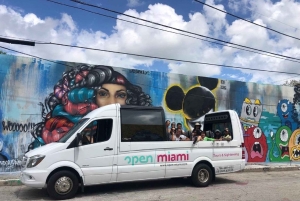 Обзорная экскурсия по Майами на автобусе-кабриолете (на французском)