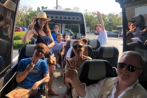 Обзорная экскурсия по Майами на автобусе-кабриолете (на французском)