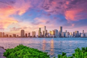 Miami: Skyline bustour met Little Havana en Wynwood