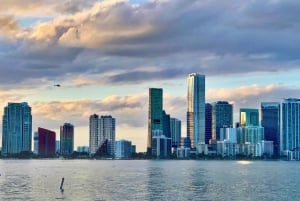 Miami: Skyline bustour met Little Havana en Wynwood