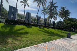 Miami - Skyline Skyline stadsvandring med Little Havana och Wynwood