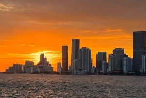 Miami: Skyline Cruise of the Magic City & Millionaire Houses