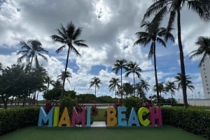 Miami Skyline Millionaire Cruise & Bus Tour 5 stops & Coffee