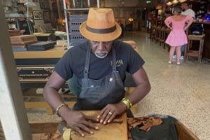 Miami Skyline Millionaire Cruise & Bus Tour 5 stops & Coffee