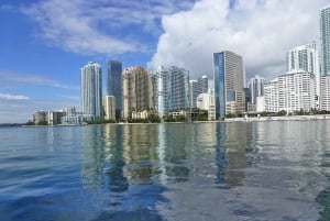 Miami Skyline Millionaire Cruise & Bus Tour 5 stops & Coffee