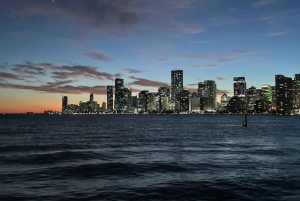 Miami Skyline Millionaire Cruise & Bus Tour 5 stops & Coffee