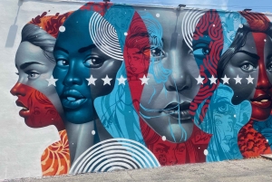 Miami Skyline Millionaire Cruise & Bus Tour 5 stops & Coffee