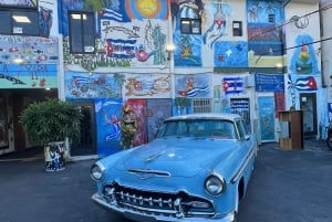 Miami Skyline Millionaire Cruise & Bus Tour 5 stops & Coffee