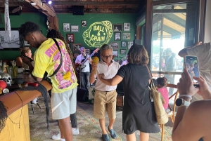 Miami Skyline Millionaire Cruise & Bus Tour 5 stops & Coffee