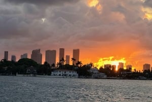 Miami Skyline Millionaire Cruise & Bus Tour 5 stops & Coffee