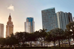 Miami Skyline Millionaire Cruise & Bus Tour 5 stops & Coffee