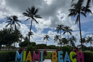 Miami Skyline Millionaire Cruise & Bus Tour 5 stops & Coffee