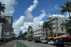 Miami Skyline Millionaire Cruise & Bus Tour 5 stops & Coffee