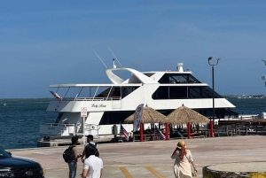 Miami : Croisière touristique à la découverte des maisons de millionnaires