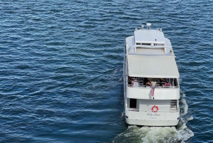 Miami: Skyline-Sightseeing-Rundfahrt durch die Millionärshäuser