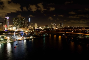 Miami: Skyviews Miami Observation Wheel fleksibel datobillett