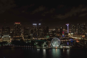 Miami: Bilhete de data flexível Skyviews Miami Observation Wheel