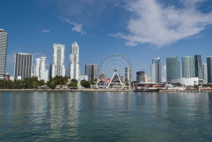 Miami: Skyviews Miami Observation Wheel fleksibel datobillett