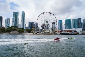 Miami: biglietto con data flessibile per la ruota panoramica di Skyviews Miami