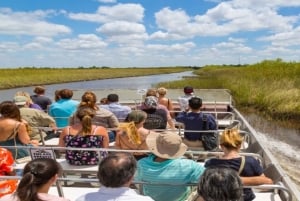 Miami: Excursão Expressa para Grupos Pequenos em Everglades com Passeio de Aerobarco