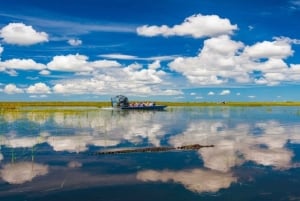 Miami: tour espresso per piccoli gruppi delle Everglades con giro in idroscivolante