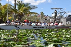 Miami: tour espresso per piccoli gruppi delle Everglades con giro in idroscivolante