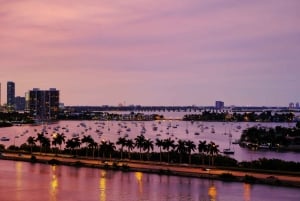 Miami: Tur med en lille gruppe om aftenen med Skyviews Wheel Ride