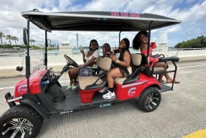 Miami South Beach and Venetian Islands Private Golf Cart …