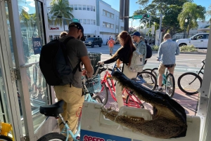 Miami: South Beach Architecture and Cultural Bike Tour