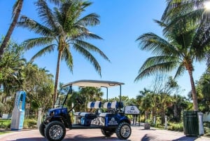 Miami: South Beach Golf Cart Tour