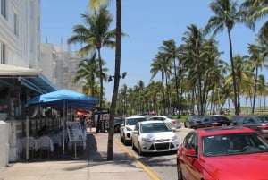 Miami: South Beach Insider Walking Tour