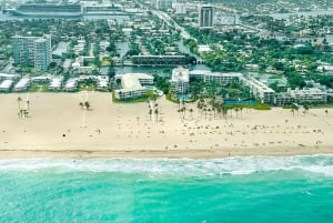 Miami Beach: South Beach Private Airplane Tour with Drinks