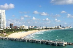 Miami & South Beach: Private Luxury Airplane Tour