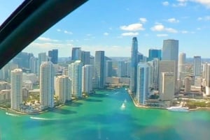 Miami & South Beach: Private Luxury Airplane Tour