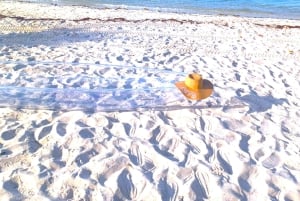 Miami/South Beach: Fotoshooting im transparenten Kajak mit Drohne